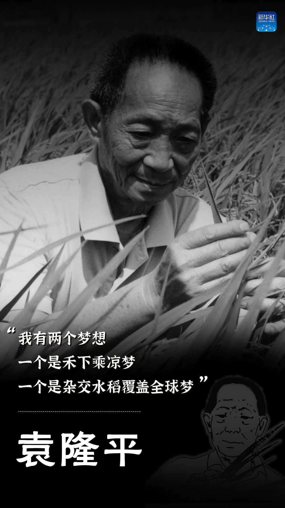 “杂交水稻之父”袁隆平逝世 享年91岁-精研拍拍网