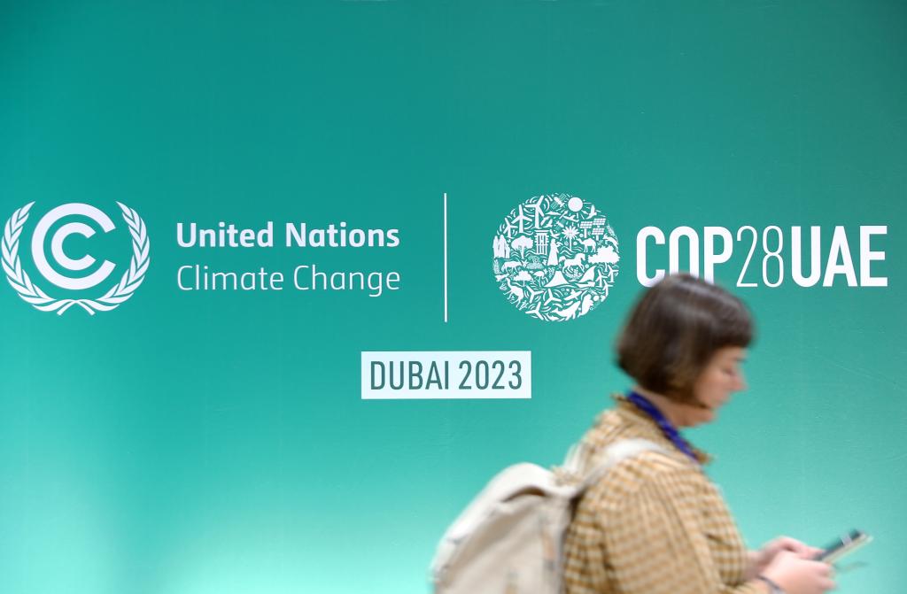 迪拜气候大会丨发达国家应充分兑现气候承诺-精研拍拍网